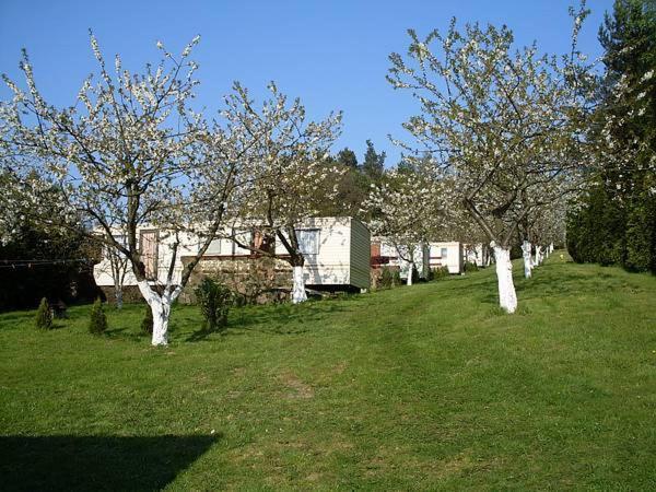 Czeresniowy Sad Villa Wiselka Exterior photo